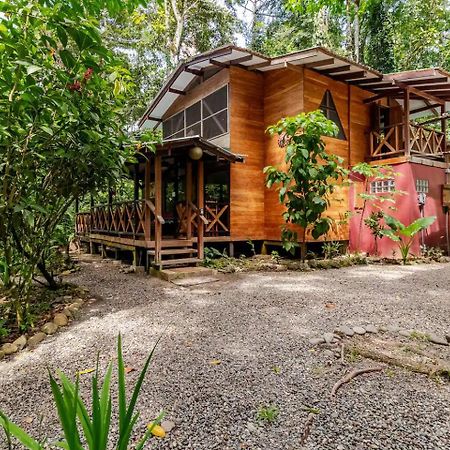 Pachamama Jungle River Lodge - Punta Uva Puerto Viejo de Talamanca Extérieur photo