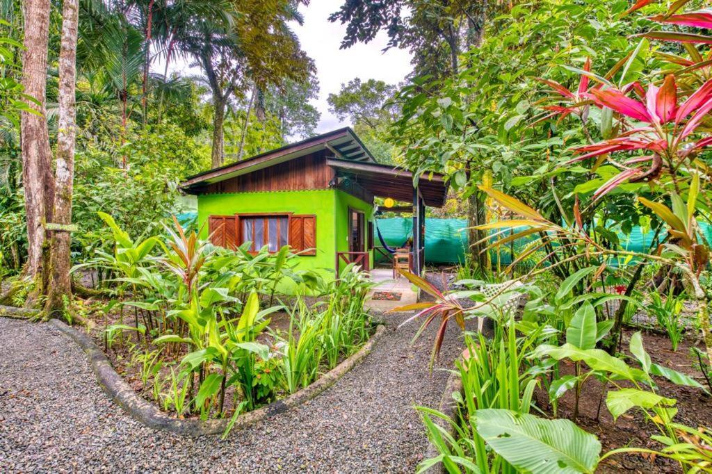 Pachamama Jungle River Lodge - Punta Uva Puerto Viejo de Talamanca Extérieur photo