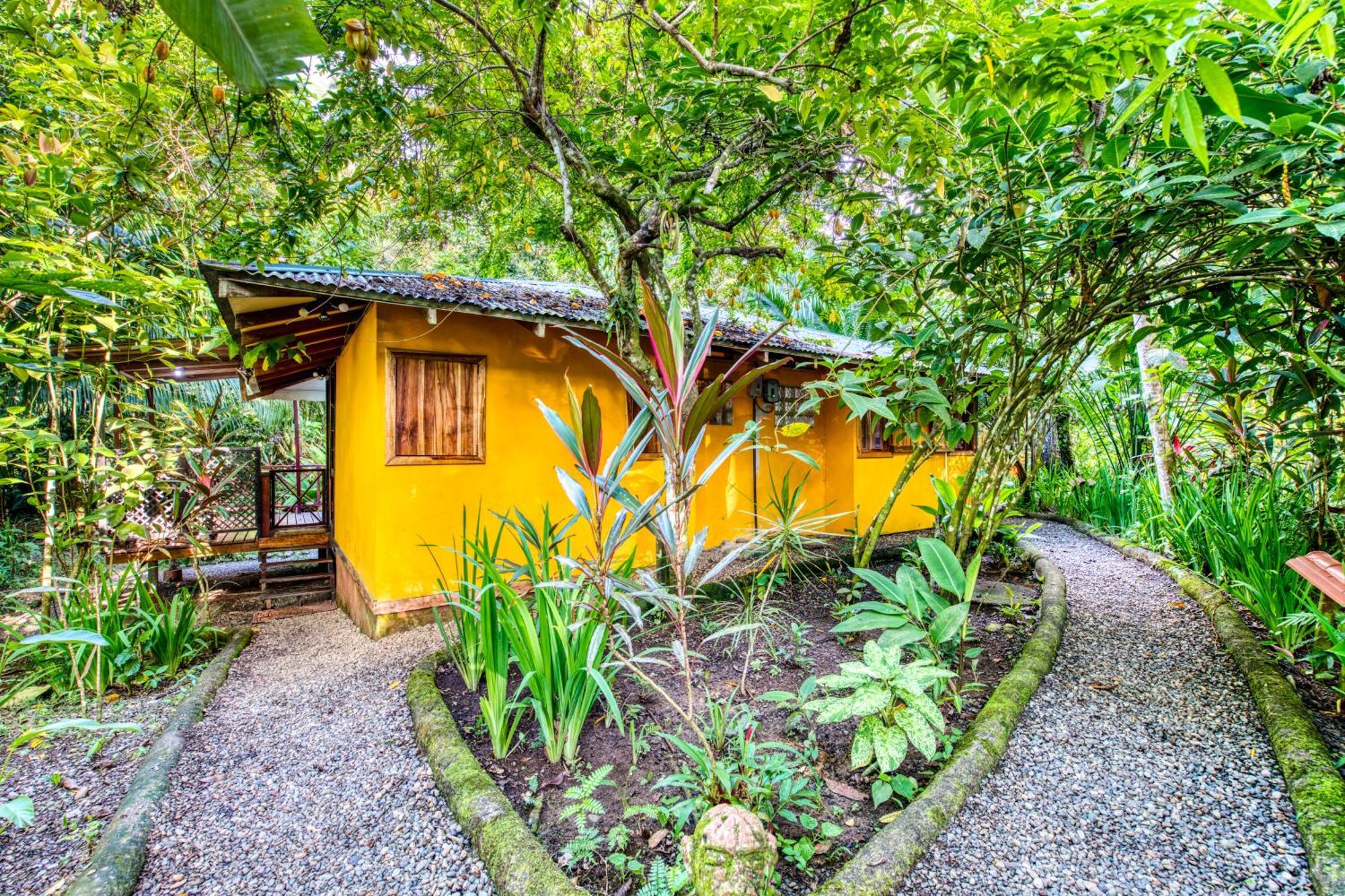 Pachamama Jungle River Lodge - Punta Uva Puerto Viejo de Talamanca Extérieur photo