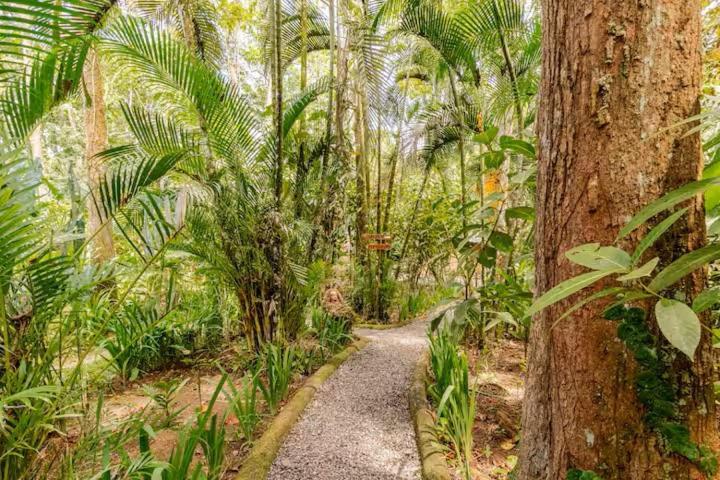 Pachamama Jungle River Lodge - Punta Uva Puerto Viejo de Talamanca Extérieur photo