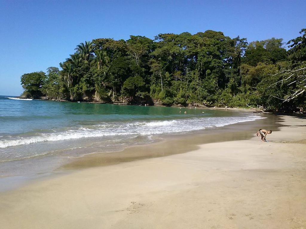 Pachamama Jungle River Lodge - Punta Uva Puerto Viejo de Talamanca Extérieur photo