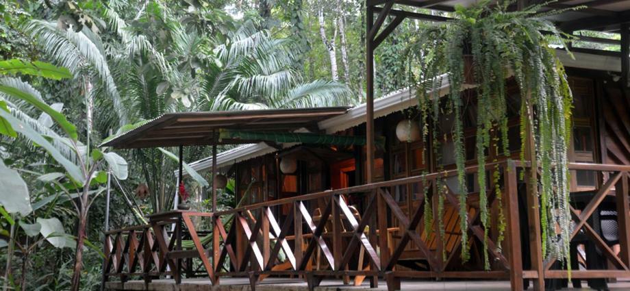 Pachamama Jungle River Lodge - Punta Uva Puerto Viejo de Talamanca Extérieur photo